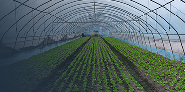 组织温室气体清单核查业务